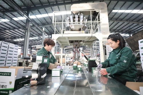 強勢霸屏 中央主流媒體聚焦邢臺工程與技術(shù)創(chuàng)新